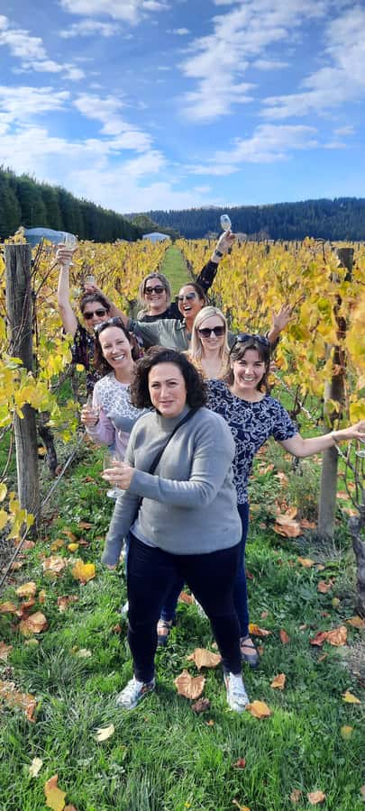 From Wellington: Martinborough Winery Tour - Why Martinborough makes a smart Wellington side trip