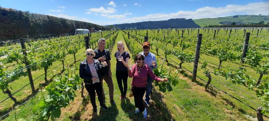 From Wellington: Martinborough Winery Tour - Crossing the Remutaka Ranges