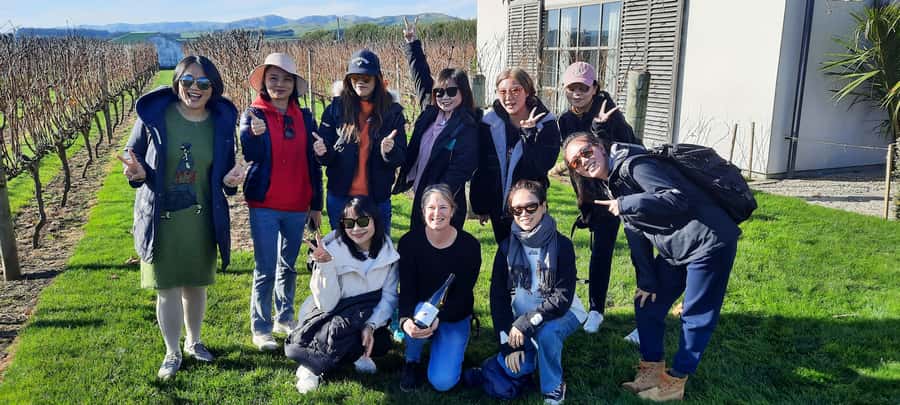 From Wellington: Martinborough Winery Tour - Winery number two: vineyard views and food options