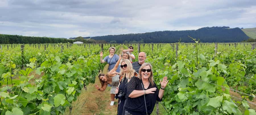 From Wellington: Martinborough Winery Tour - What the guides add to the day