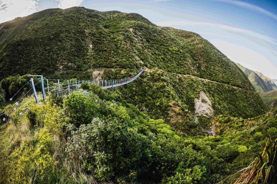 From Wellington: Remutaka Rail Trail eBike Tour - Quick points before you book