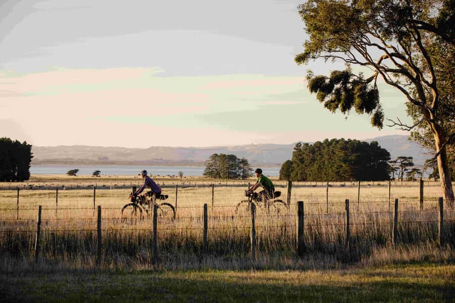 From Wellington: Remutaka Rail Trail eBike Tour - Why this railway route is worth your day