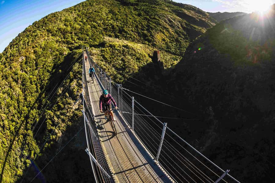 From Wellington: Remutaka Rail Trail eBike Tour - Starting at Kaitoke: a gentle climb through native bush
