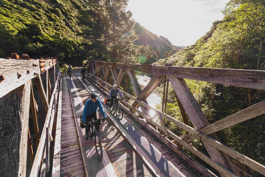 From Wellington: Remutaka Rail Trail eBike Tour - The final 10 kilometres toward Featherston