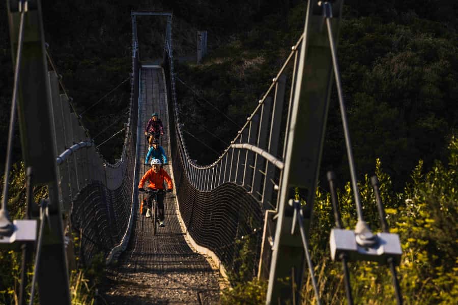 From Wellington: Remutaka Rail Trail eBike Tour - Is this really suitable for beginners?