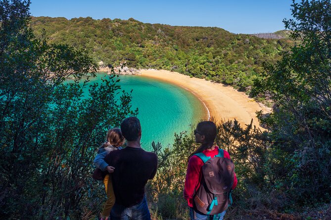 Full-Day Abel Tasman National Park Hiking Tour with Cruise - Key points at a glance