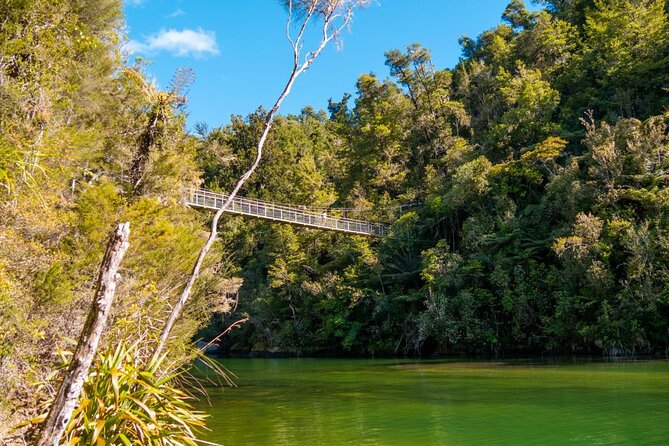 Full-Day Abel Tasman National Park Hiking Tour with Cruise - Forest walking with Al, Lucy, Angelika, or Zane