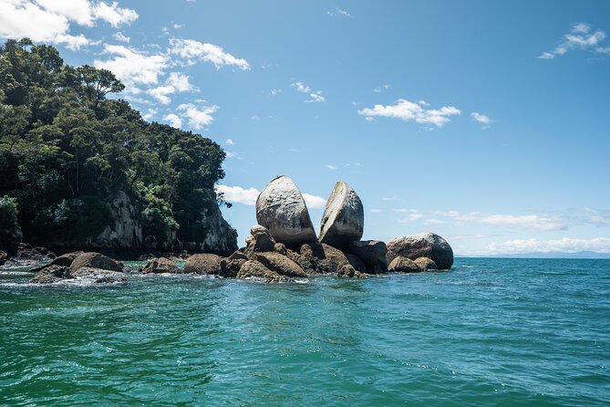 Full-Day Abel Tasman National Park Hiking Tour with Cruise - Plant stories, Māori connections, and conservation
