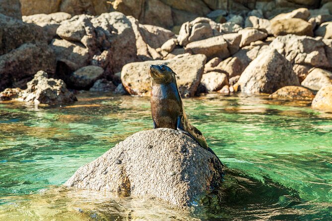 Full-Day Abel Tasman National Park Hiking Tour with Cruise - What the $371.72 price really buys