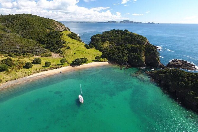 Full-Day Bay of Islands Tour by Vigilant Yacht Charters - One Island, About 90 Minutes, Several Ways To Spend It