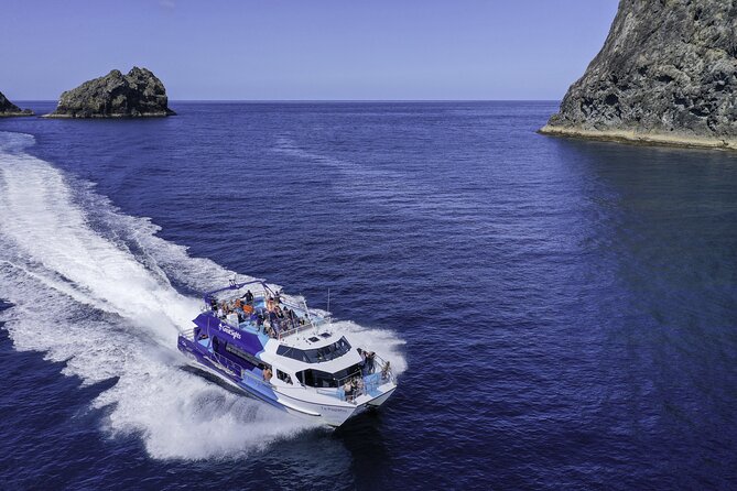 Full-Day Bay of Islands Tour by Vigilant Yacht Charters - What The $114.81 Price Really Buys