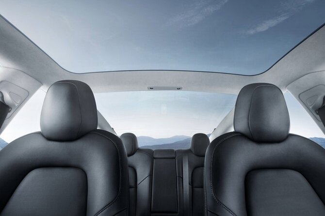 Full-Day Driver with Tesla Car-Customisable North Island Tour - Forests, farms, and Rotorua family activities
