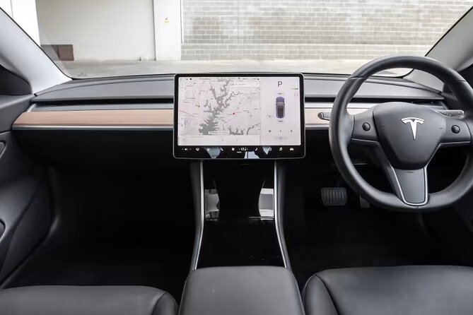 Full-Day Driver with Tesla Car-Customisable North Island Tour - Why the private driver matters on a long North Island day