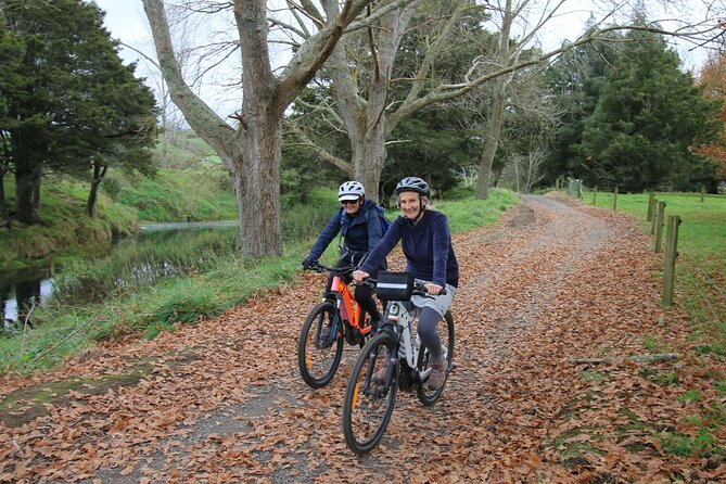 Full Day Ebike Tour in Karangahake Gorge (ex Auckland) - Custom-fitted e-bikes and full support
