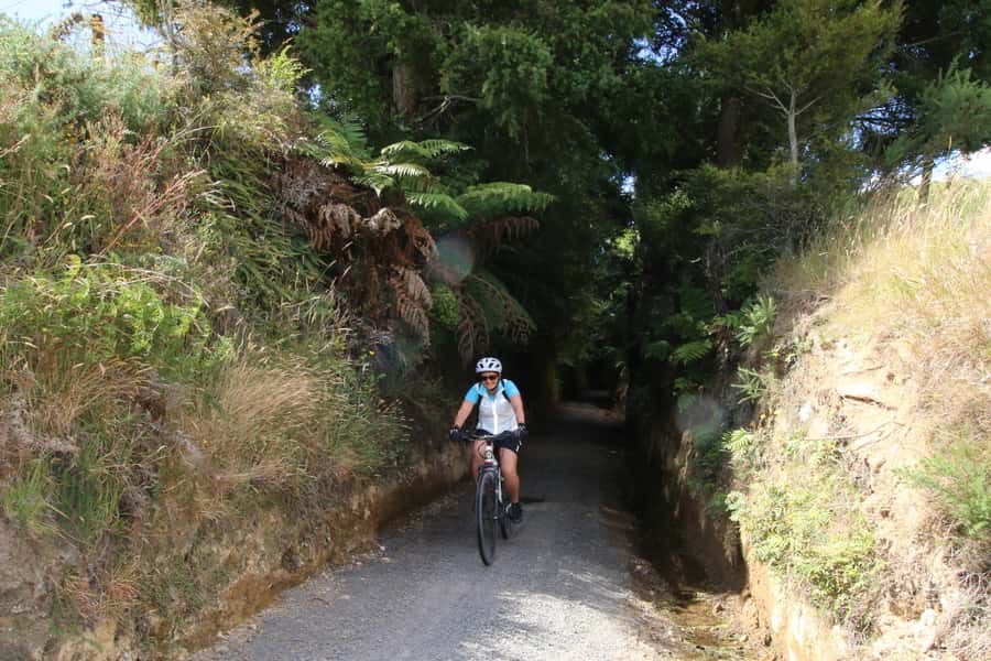 Full Day Ebike Tour - Karangahake Gorge NZ - Key points to know before booking