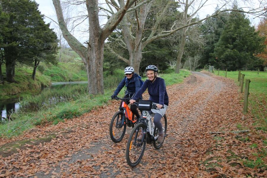 Full Day Ebike Tour - Karangahake Gorge NZ - The return to Waikino and a proper picnic lunch