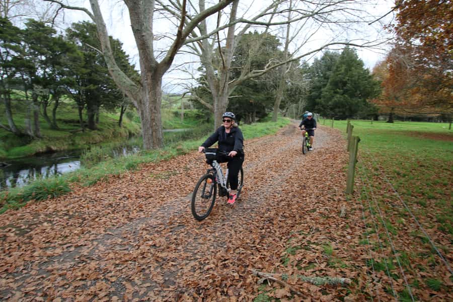 Full Day Ebike Tour - Karangahake Gorge NZ - Group size, fitness, and who should book