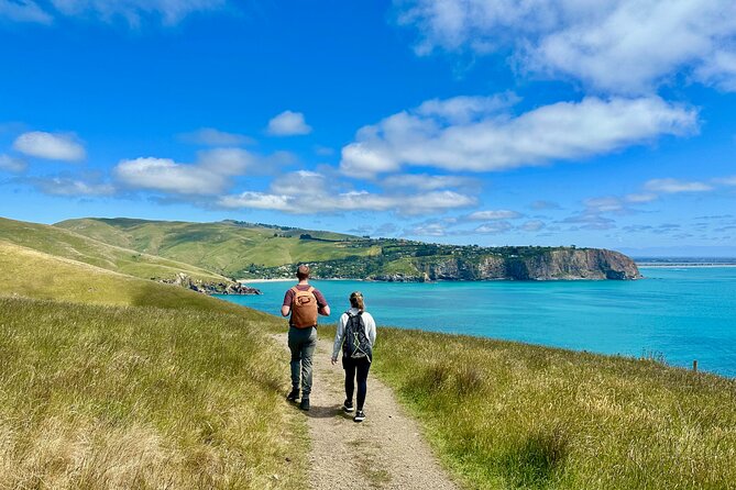 Full Day Guided Walking Tour and Picnic around Godley Head - Key points to know before you book