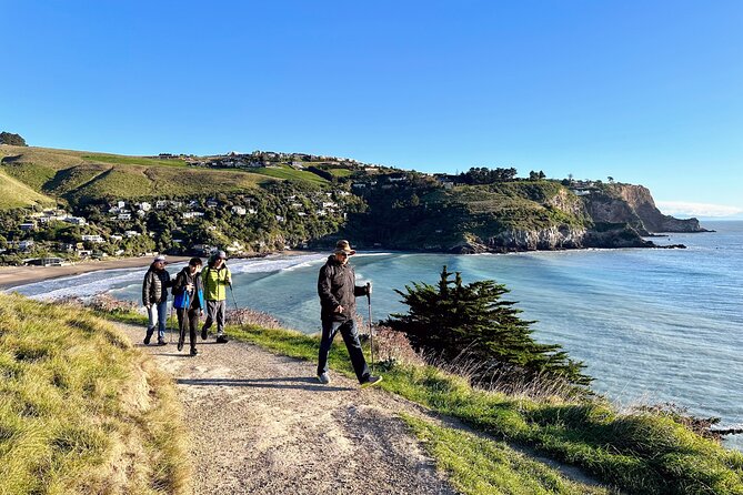 Full Day Guided Walking Tour and Picnic around Godley Head - Why Godley Head is such a good Christchurch outing