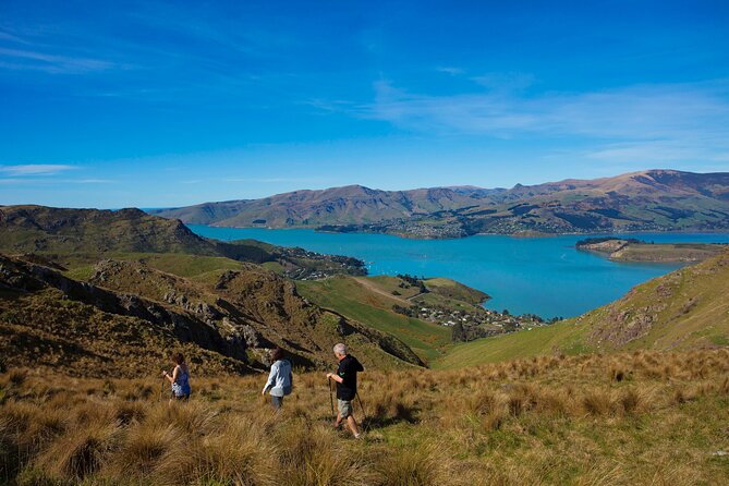 Full Day Guided Walking Tour and Picnic around Godley Head - The picnic stop is more than a packed lunch