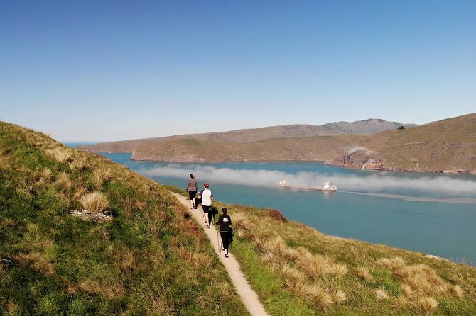 Full Day Guided Walking Tour and Picnic around Godley Head - Is the $186.17 price fair?