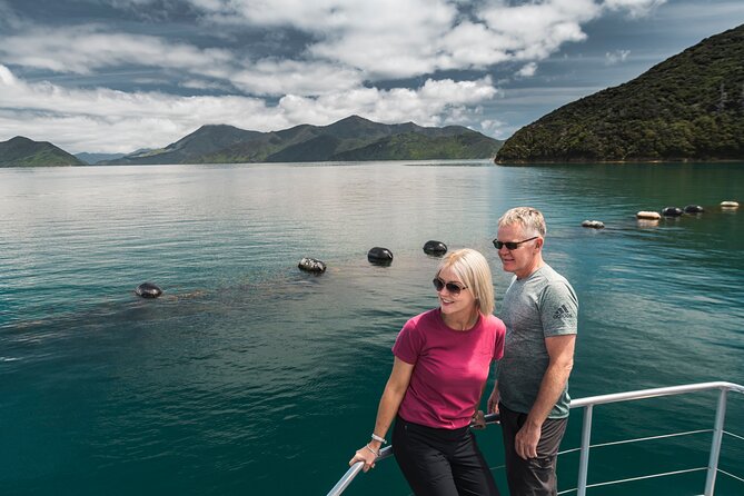 Full Day Iconic Mail Boat Cruise - Is $86.88 good value?