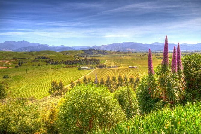 Full-Day Marlborough Scenic and Wine Tour from Blenheim - Is $204.79 a good value?