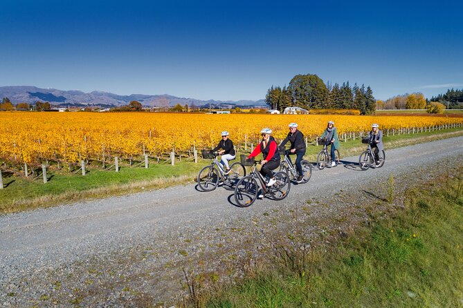 Full-Day Marlborough Wine Region Bike Hire - Choosing wineries and tasting styles