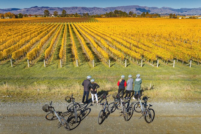 Full-Day Marlborough Wine Region Bike Hire - The transport question you should not ignore
