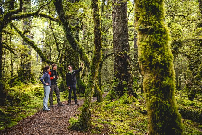 Full-Day Milford Sound Tour with Cruise and Walks from Te Anau - The minivan ride along Milford Road