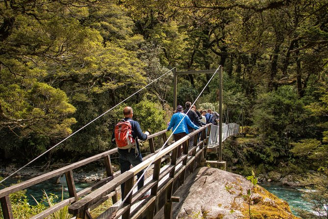 Full-Day Milford Sound Tour with Cruise and Walks from Te Anau - Homer Tunnel and Fiordland National Park