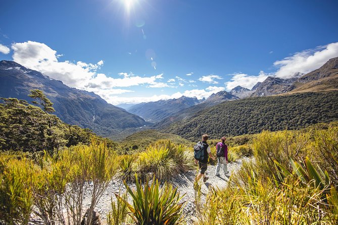 Full-Day Milford Sound Tour with Cruise and Walks from Te Anau - Picnic lunch and the value of the price