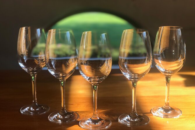 Full-Day Omaka Aviation Heritage Center and Wine Tasting Tour - Why the guide can make or break the day
