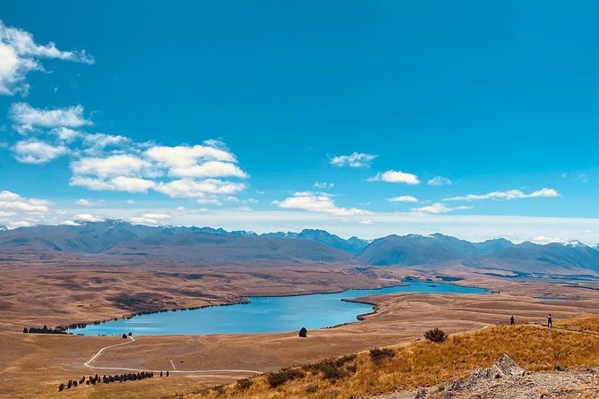 Full-Day Private Tour Mt.Cook from Christchurch - Lake Pukaki and the fresh salmon stop