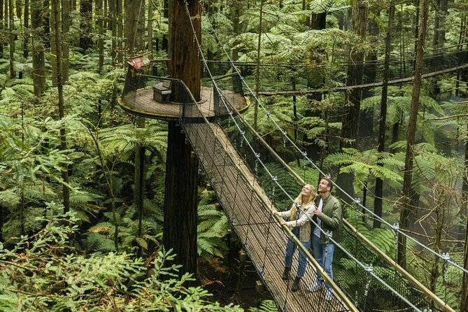 FULL DAY ROTORUA TOUR - Fully Customisable 13 hours Unlimited KMS - Hobbiton and Blue Spring: two very different morning stops