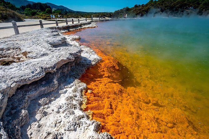 FULL DAY ROTORUA TOUR - Fully Customisable 13 hours Unlimited KMS - Māori culture at Te Puia, Whakarewarewa, and Mitai