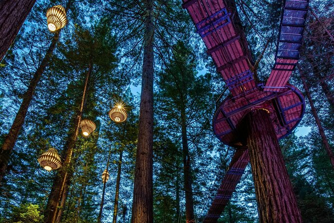 FULL DAY ROTORUA TOUR - Fully Customisable 13 hours Unlimited KMS - Building a sensible Auckland to Rotorua day