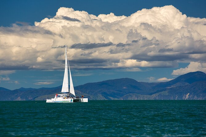 Full-Day Sailing Adventure in the Abel Tasman National Park - The return sail and the afternoon breeze