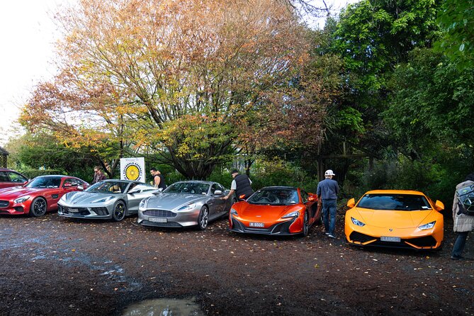 Full-Day Supercar Drive Experience from Auckland (lunch included) - The Kawakawa Bay Tour: shoreline roads and John Hill Estate