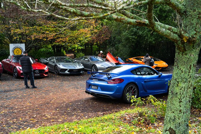 Full-Day Supercar Drive Experience from Auckland (lunch included) - The Matakana Tour: vineyards, coast, and Brick Bay