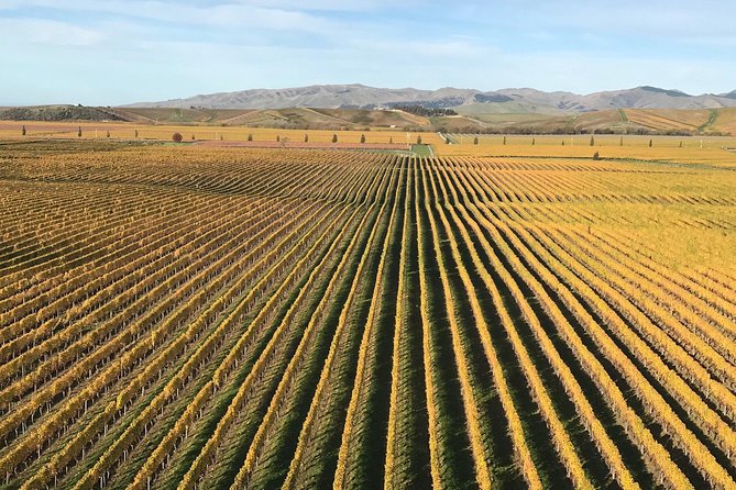 Full-Day Wine Gourmet and Scenic Delight Tour of Marlborough from Blenheim - Framingham shows Marlborough beyond sauvignon blanc