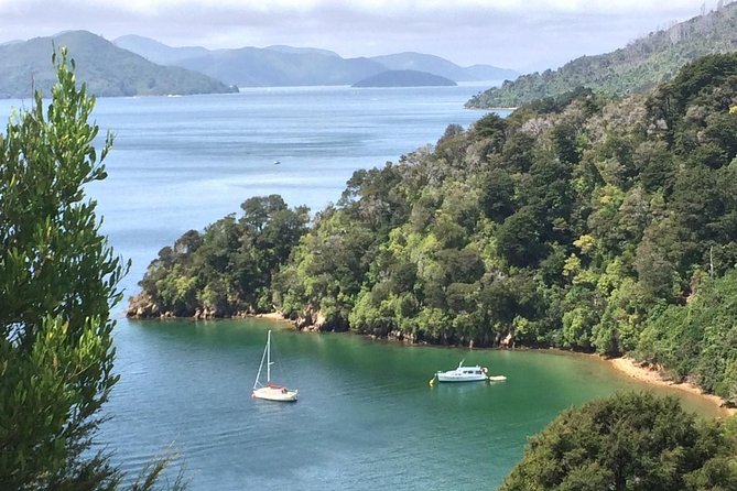 Full-Day Wine Gourmet and Scenic Delight Tour of Marlborough from Blenheim - The guide is the main reason to choose this tour