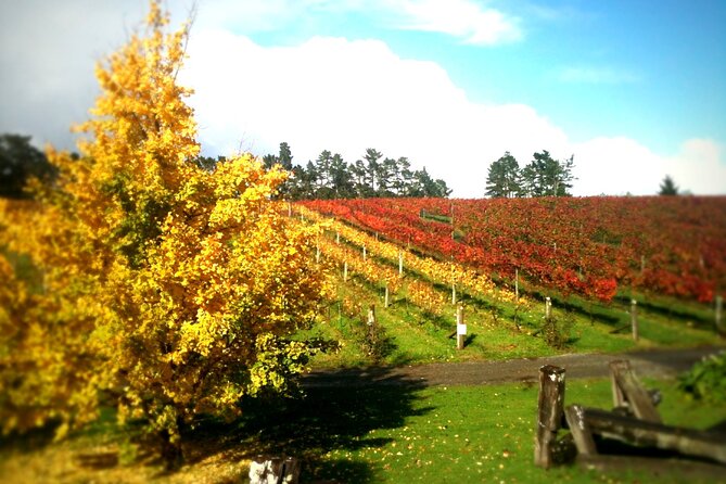 Full-Day Wine Tasting Tour in Auckland with 3-Course Vineyard Lunch - What you may taste along the route
