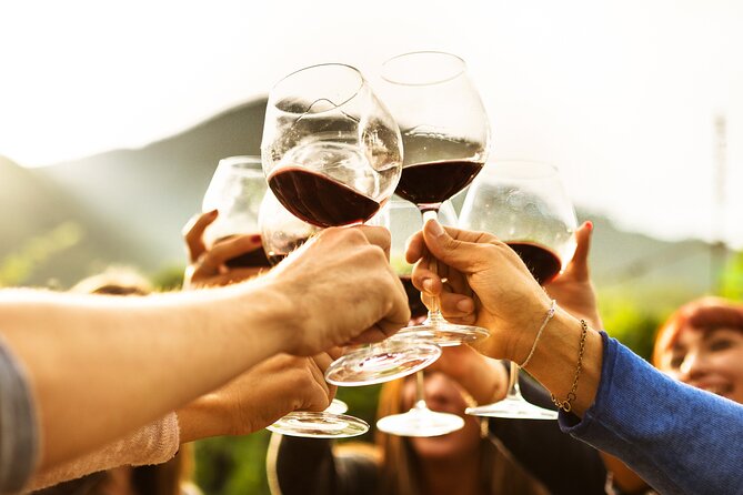 Full-Day Wine Tasting Tour in Auckland with 3-Course Vineyard Lunch - What the five-hour schedule means for you