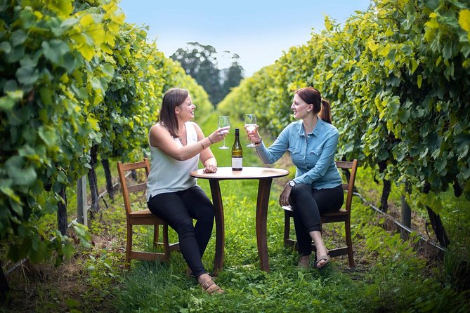 Full-Day Wine Tour from Blenheim - Crossing the Wairau Valley