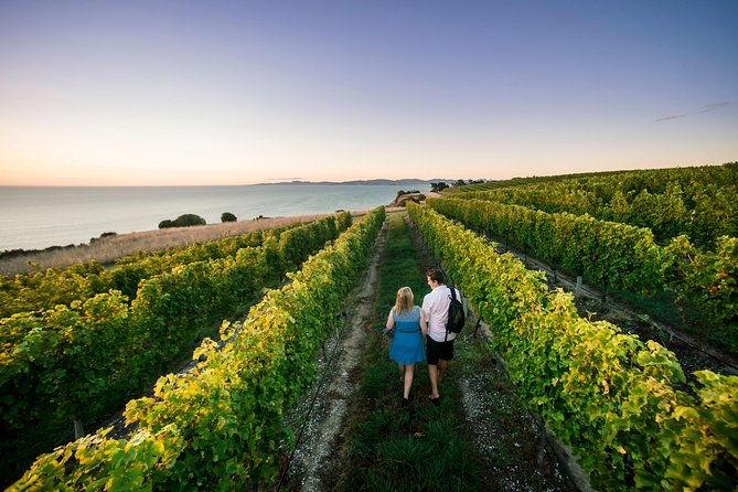Full Day Winemakers Tour in Marlborough - Why this Marlborough wine day works