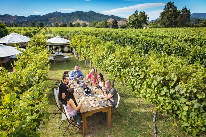 Full Day Winemakers Tour in Marlborough - Lawson’s Dry Hills starts with vineyard context