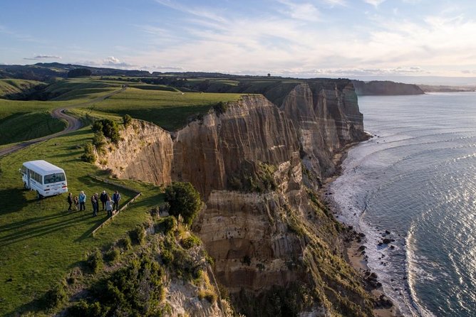 Gannet Safaris Overland tour to Cape Kidnappers Gannet Colony - Why Cape Kidnappers is worth your time