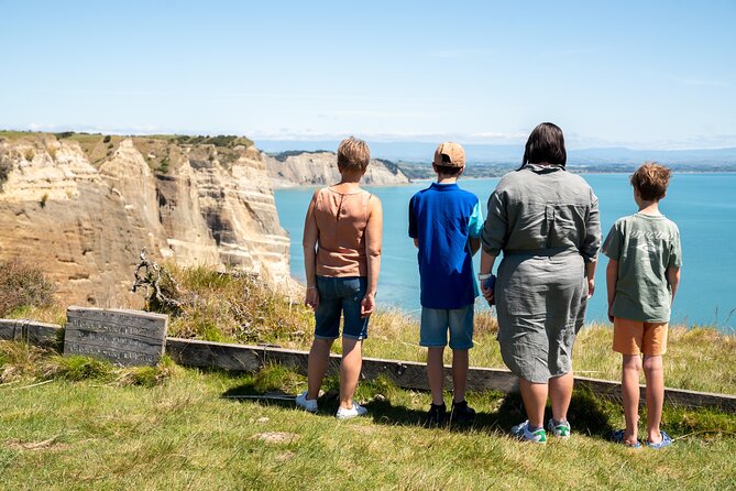 Gannet Safaris Overland tour to Cape Kidnappers Gannet Colony - Is $61.44 good value?