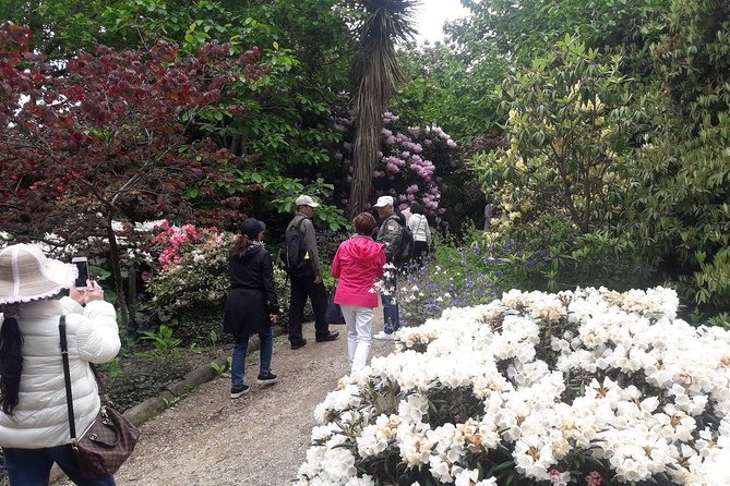 Garden and City tour - The Botanic Garden is the tour’s main pause